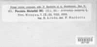 Image Associated With the Occurrence
